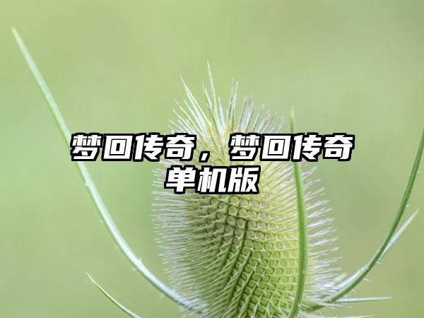 梦回传奇，梦回传奇单机版