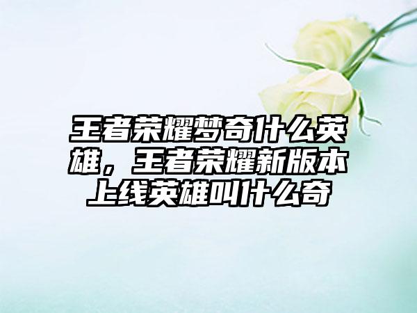 王者荣耀梦奇什么英雄，王者荣耀新版本上线英雄叫什么奇
