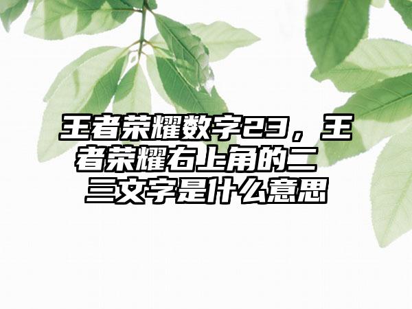 王者荣耀数字23，王者荣耀右上角的二 三文字是什么意思