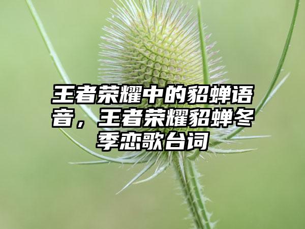 荣誉奇迹,荣耀传奇：再续光辉