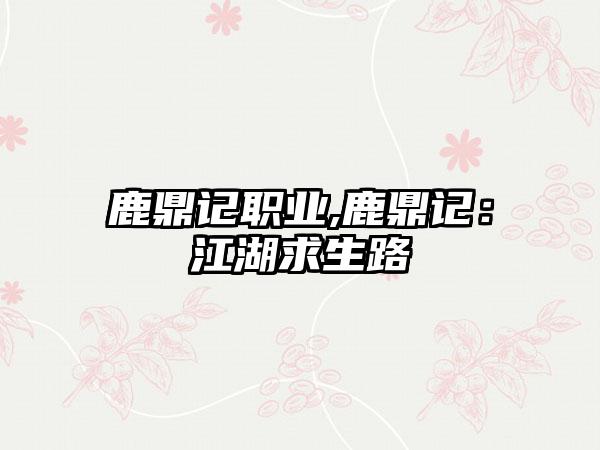 鹿鼎记职业,鹿鼎记：江湖求生路
