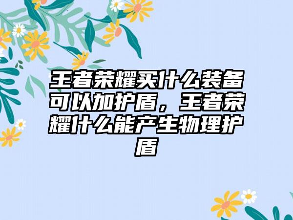 王者荣耀买什么装备可以加护盾，王者荣耀什么能产生物理护盾