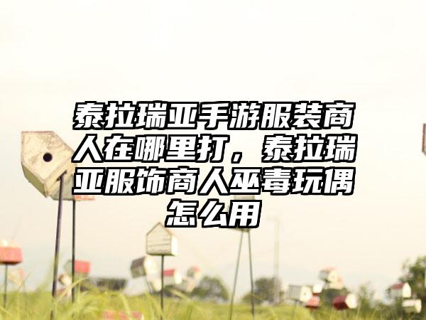 泰拉瑞亚手游服装商人在哪里打，泰拉瑞亚服饰商人巫毒玩偶怎么用