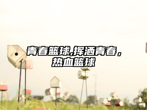 青春篮球,挥洒青春，热血篮球
