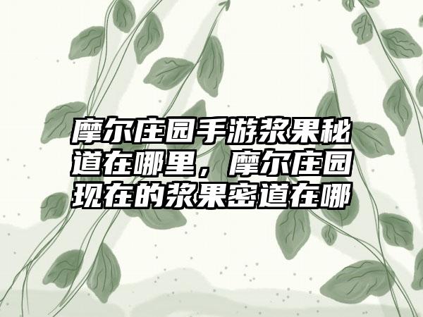 摩尔庄园手游浆果秘道在哪里,摩尔庄园现在的浆果密道在哪