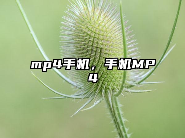 mp4手机,手机MP4