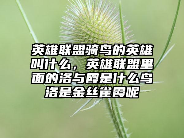 英雄联盟骑鸟的英雄叫什么，英雄联盟里面的洛与霞是什么鸟洛是金丝雀霞呢