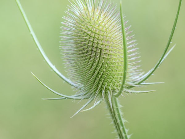 用什么玩金装传奇好用吗，176金币版传奇哪个传奇辅助好用