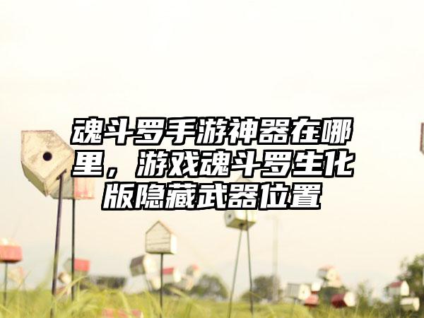 魂斗罗手游神器在哪里，游戏魂斗罗生化版隐藏武器位置