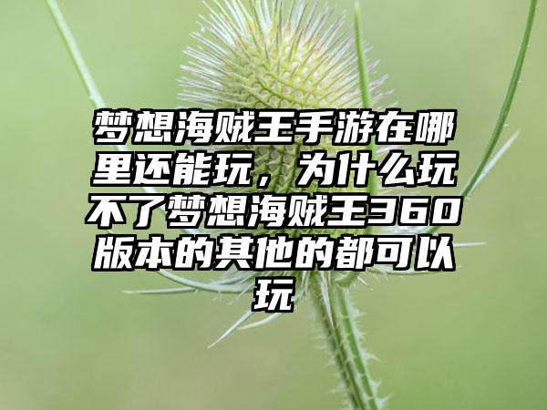 梦想海贼王手游在哪里还能玩，为什么玩不了梦想海贼王360版本的其他的都可以玩