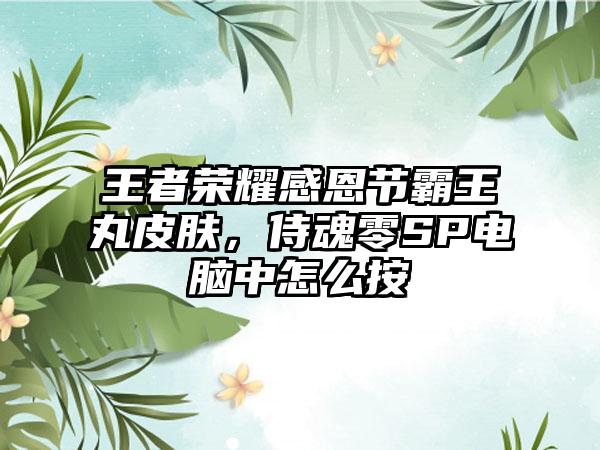 王者荣耀感恩节霸王丸皮肤，侍魂零SP电脑中怎么按