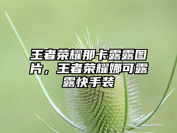 王者荣耀那卡露露图片,王者荣耀娜可露露快手装