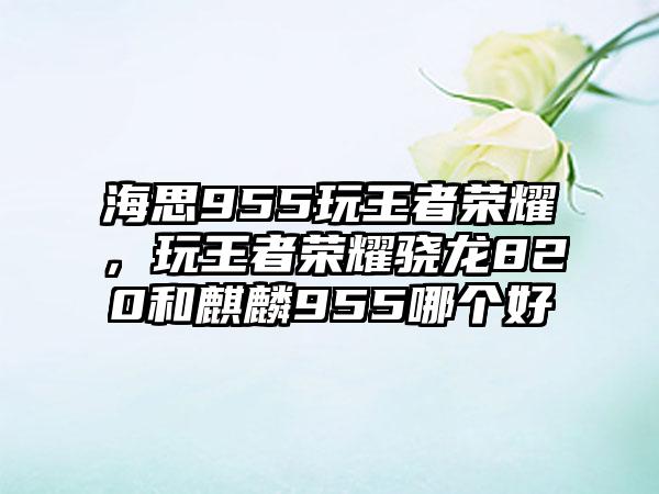 海思955玩王者荣耀，玩王者荣耀骁龙820和麒麟955哪个好