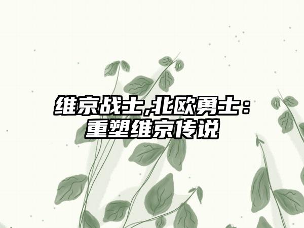 维京战士,北欧勇士：重塑维京传说