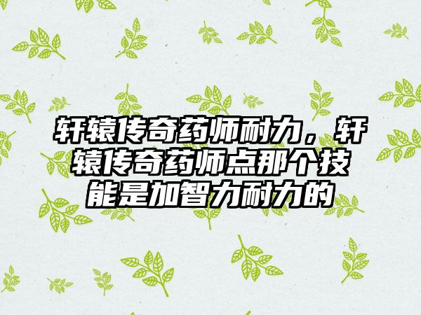轩辕传奇药师耐力，轩辕传奇药师点那个技能是加智力耐力的