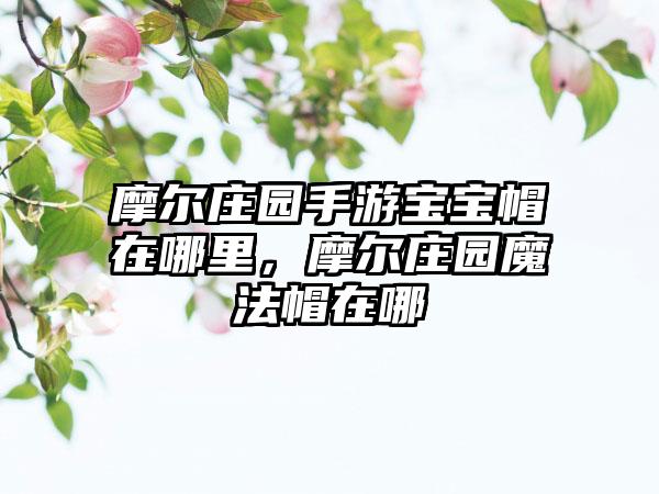 摩尔庄园手游宝宝帽在哪里，摩尔庄园魔法帽在哪