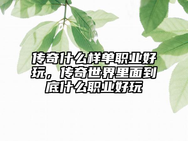传奇什么样单职业好玩，传奇世界里面到底什么职业好玩