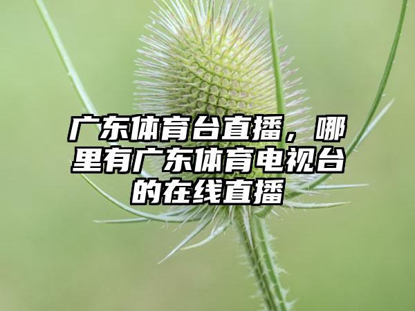 广东体育台直播，哪里有广东体育电视台的在线直播