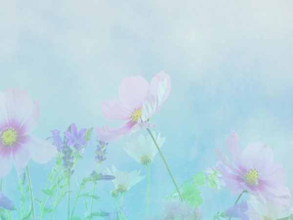 三国卡牌类手游,三国题材卡牌手游改编的新游戏名