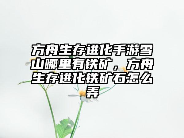 方舟生存进化手游雪山哪里有铁矿，方舟生存进化铁矿石怎么弄