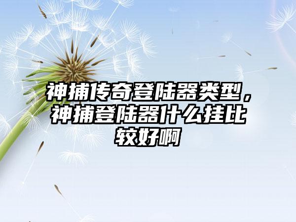 神捕传奇登陆器类型，神捕登陆器什么挂比较好啊