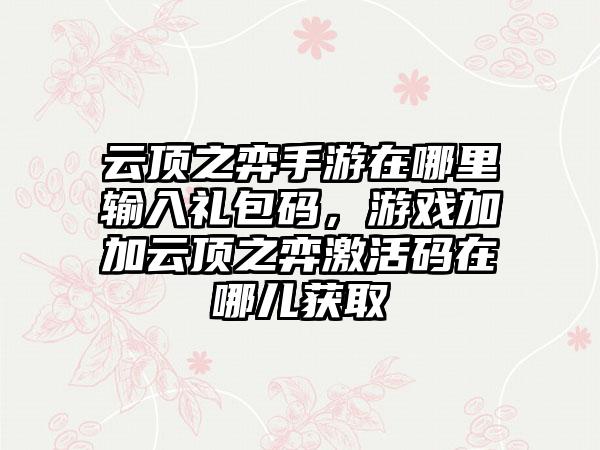 云顶之弈手游在哪里输入礼包码，游戏加加云顶之弈激活码在哪儿获取