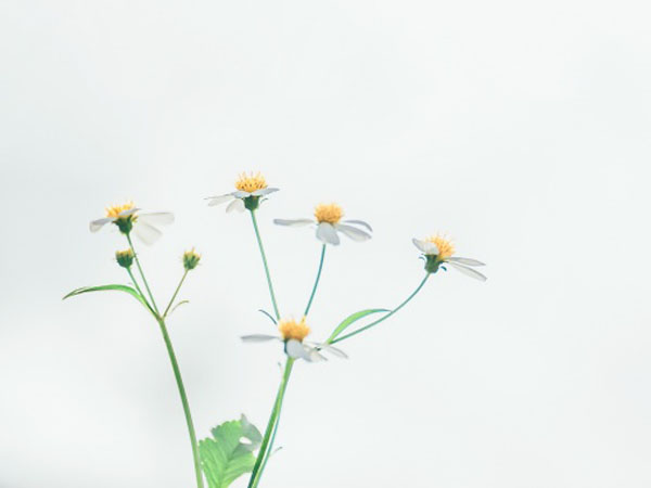 王者荣耀咋样赚钱快，王者荣耀里怎么快速赚钱