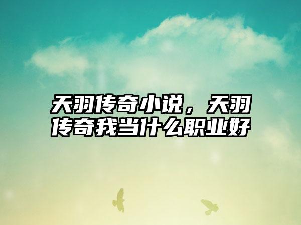 天羽传奇小说，天羽传奇我当什么职业好