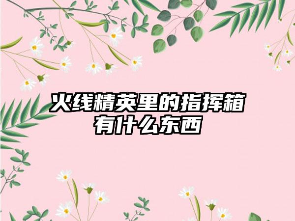 火线精英里的指挥箱有什么东西