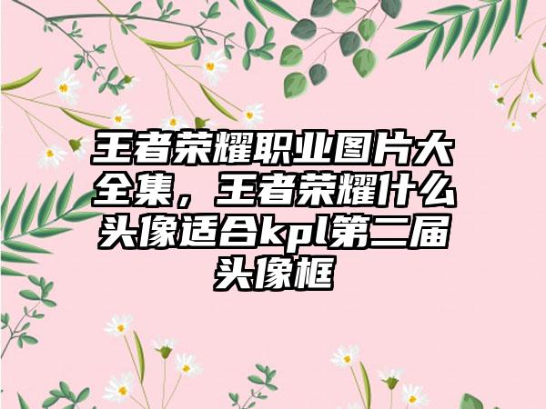 王者荣耀职业图片大全集，王者荣耀什么头像适合kpl第二届头像框