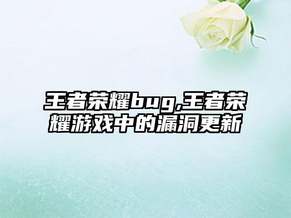 王者荣耀bug,王者荣耀游戏中的漏洞更新