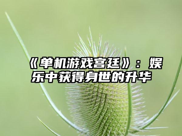 《单机游戏宫廷》：娱乐中获得身世的升华