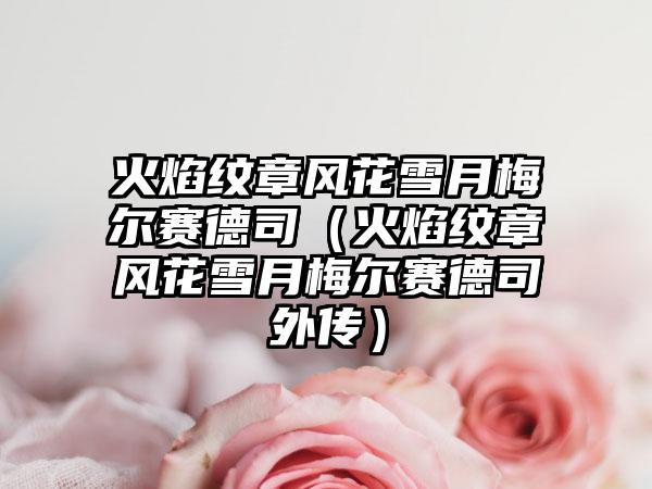 火焰纹章风花雪月梅尔赛德司（火焰纹章风花雪月梅尔赛德司外传）