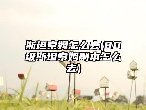 斯坦索姆怎么去(80级斯坦索姆副本怎么去)