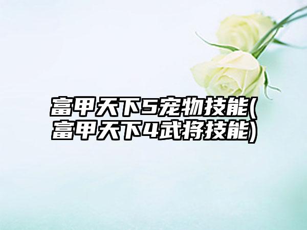 富甲天下5宠物技能(富甲天下4武将技能)