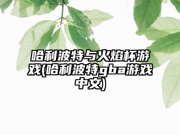 哈利波特与火焰杯游戏(哈利波特gba游戏中文)