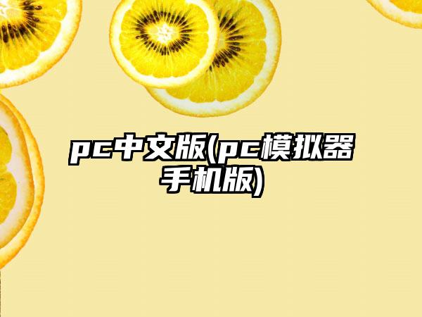 pc中文版(pc模拟器手机版)