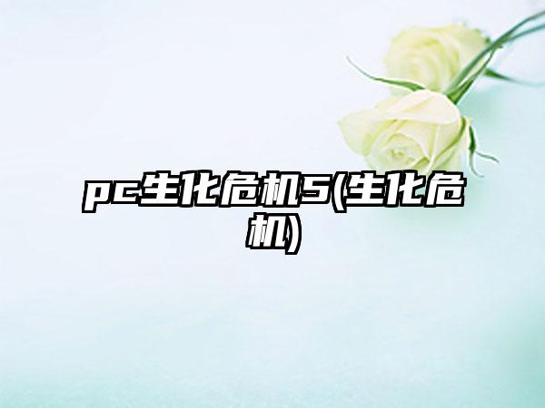 pc生化危机5(生化危机)