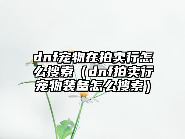dnf宠物在拍卖行怎么搜索（dnf拍卖行宠物装备怎么搜索）