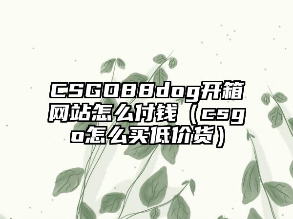 CSGO88dog开箱网站怎么付钱（csgo怎么买低价货）