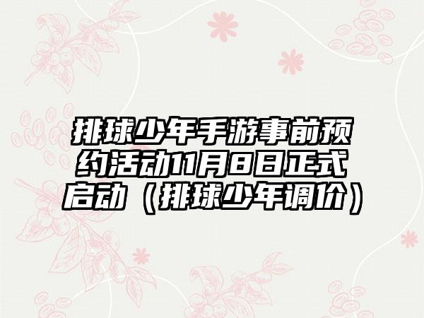 排球少年手游事前预约活动11月8日正式启动（排球少年调价）