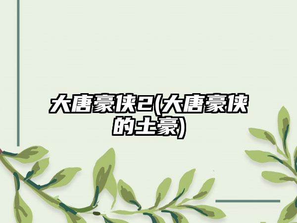 大唐豪侠2(大唐豪侠的土豪)