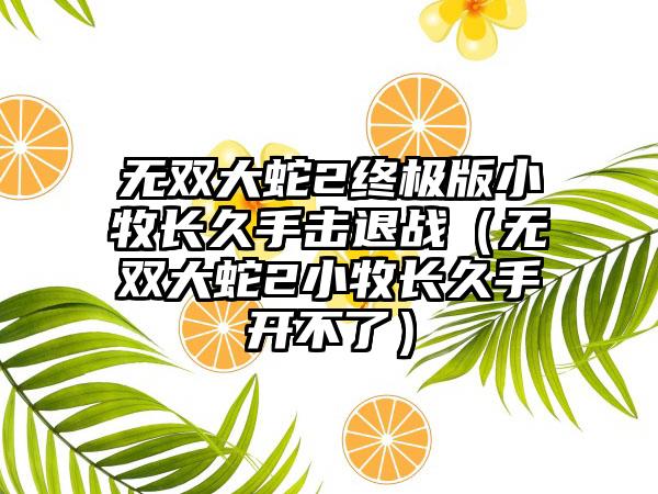 无双大蛇2终极版小牧长久手击退战（无双大蛇2小牧长久手开不了）