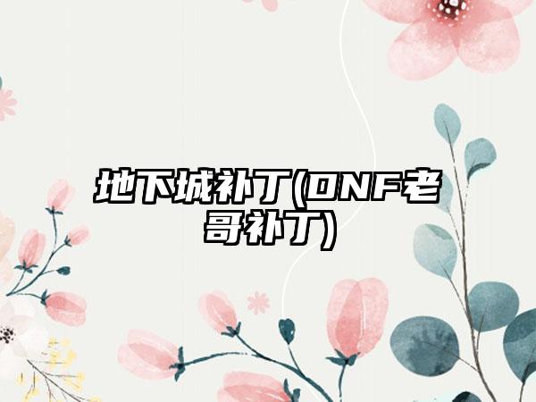 地下城补丁(DNF老哥补丁)
