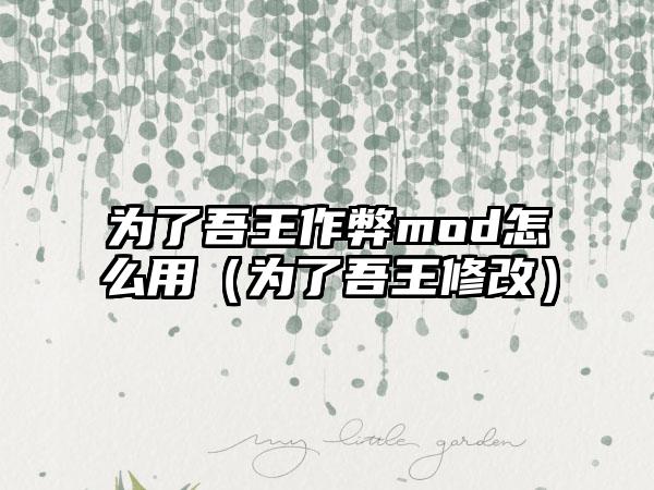 为了吾王作弊mod怎么用（为了吾王修改）