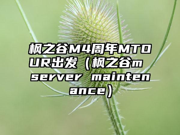 枫之谷M4周年MTOUR出发（枫之谷m server maintenance）