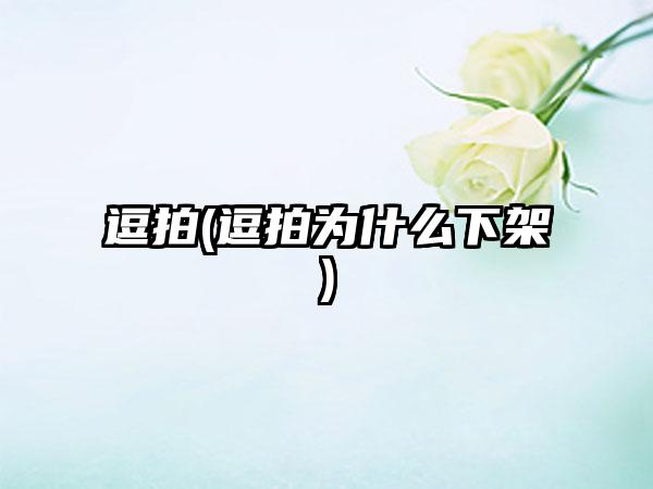 逗拍(逗拍为什么下架)