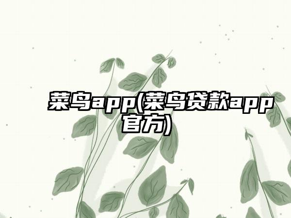 菜鸟app(菜鸟贷款app官方)