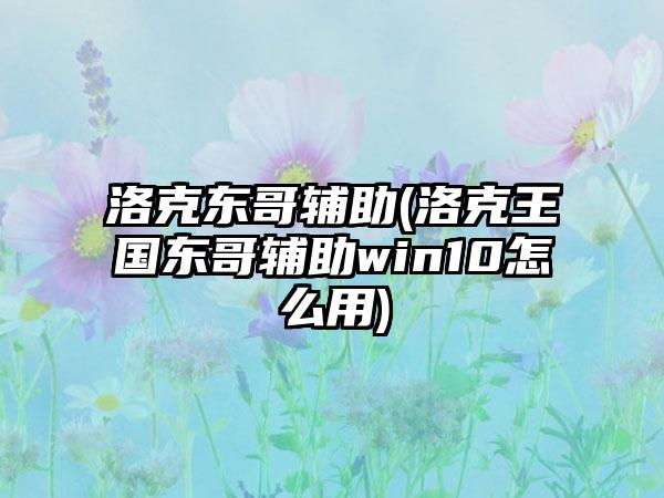 洛克东哥辅助(洛克王国东哥辅助win10怎么用)