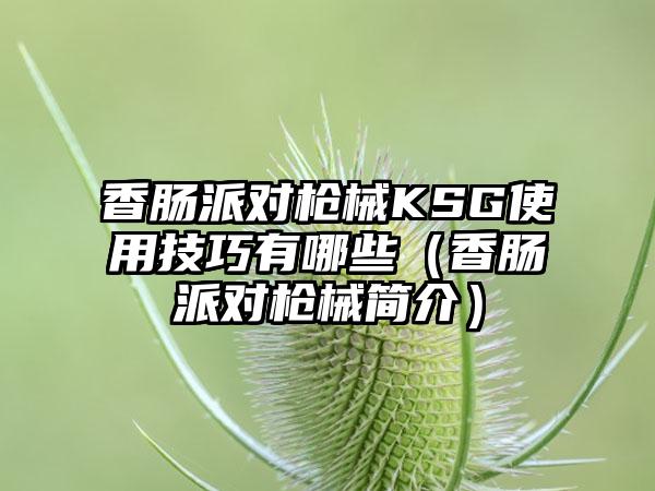 香肠派对枪械KSG使用技巧有哪些（香肠派对枪械简介）